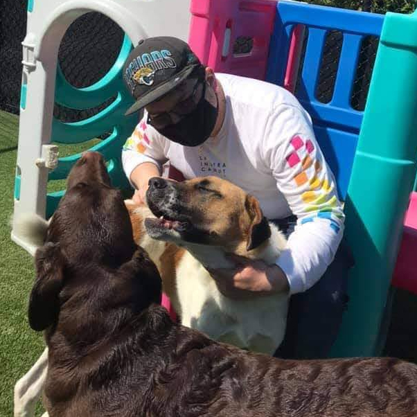 giuseppe petting a hound dog named Bandit with a chocolate lab in the foreground